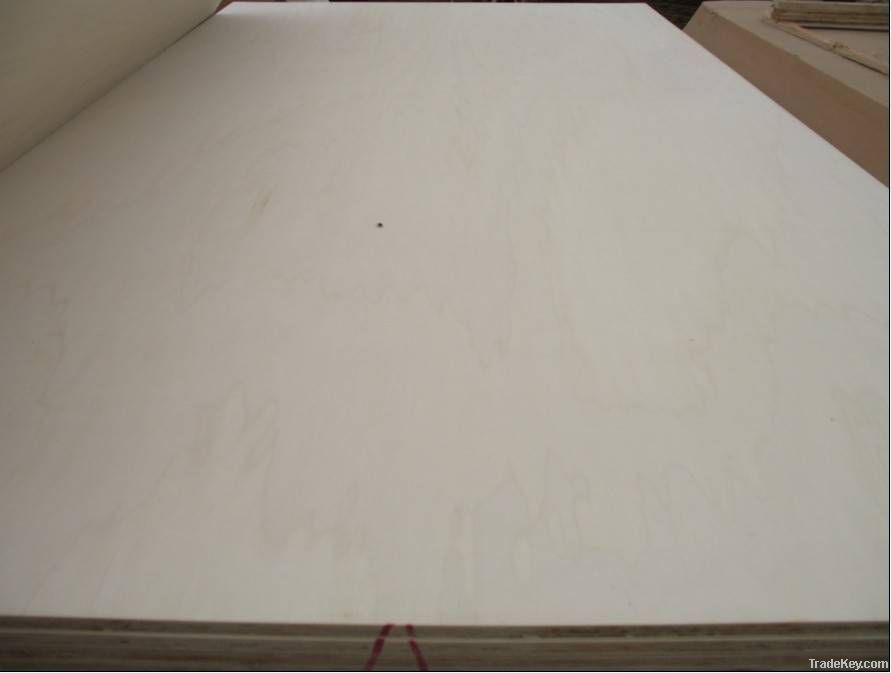 poplar plywood for furniture