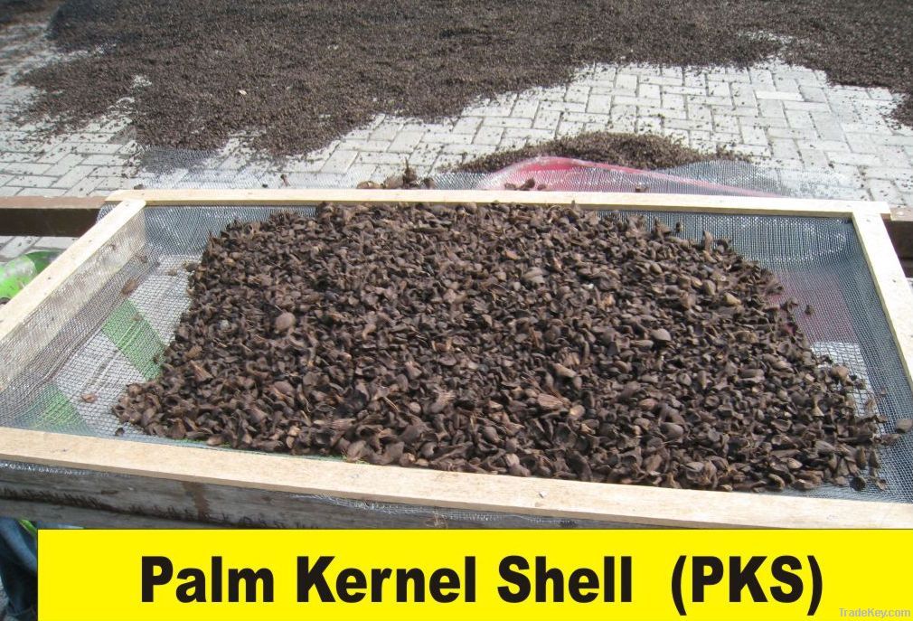 Palm Kernel Shell