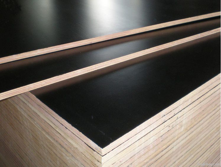 shuttering plywood/construction plywood with poplar core