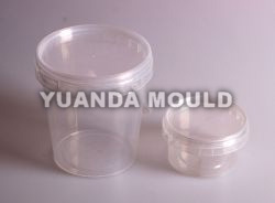 Thin Wall Mould