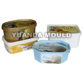 Ice Cream Container Mould