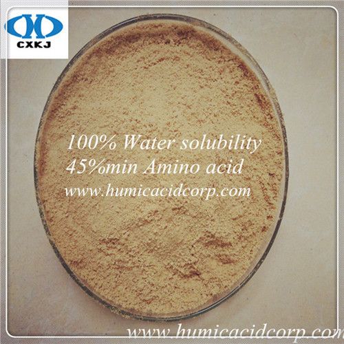 AMINO ACID POWDER  FROM VEGETAL