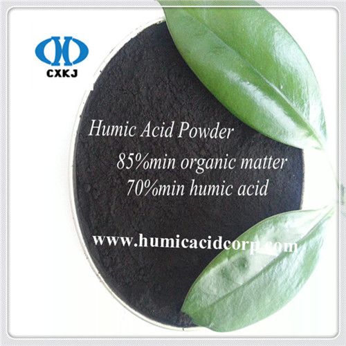 Humic Acid From Leonardite/Lignite