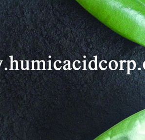 Nitrate Humic Acid Manufacturer in China For Alkaline soil 