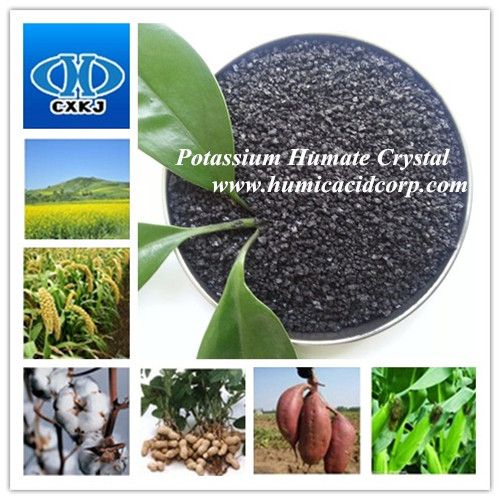 High Water Soluble Potassium Humate Manufacturer 