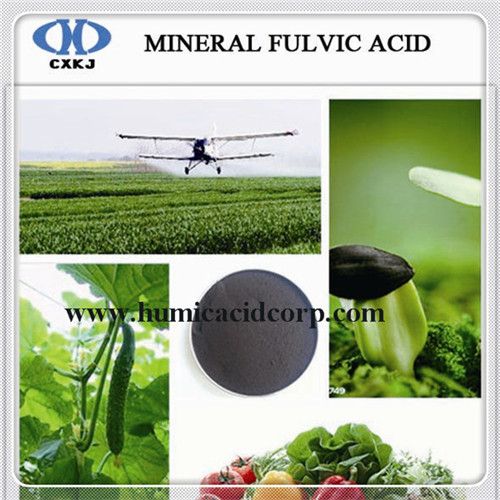 Mineral Fulvic Acid From Brown Coal Manufacturer 