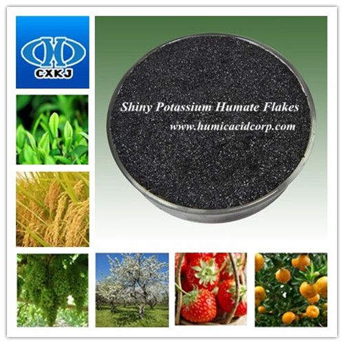 High Water Soluble Potassium Humate Manufacturer 