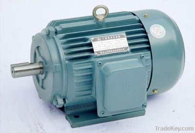 Y three phase induction motor