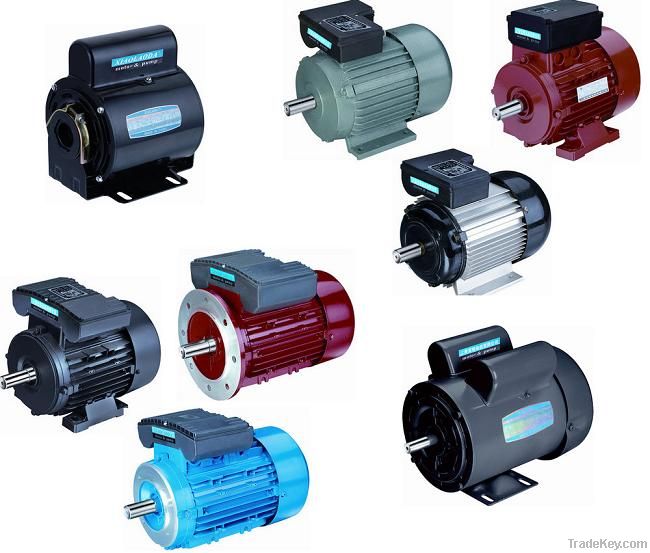 Single phase electric motor