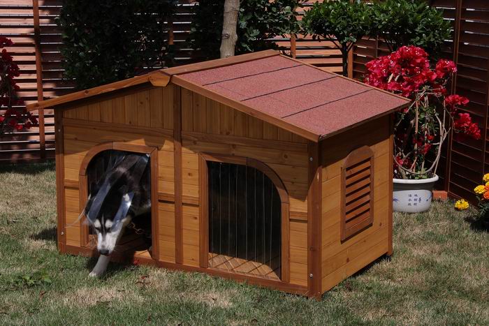 dog kennel