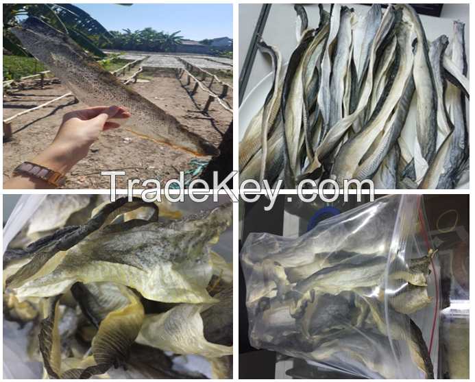 Dried Fish Skin for Collagen Industry with High Quality and Best Price