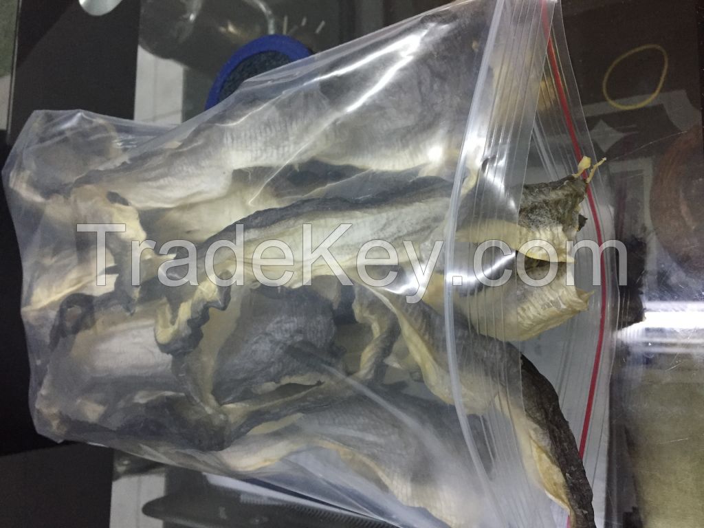 Dried Fish Skin for Collagen Industry with High Quality and Best Price