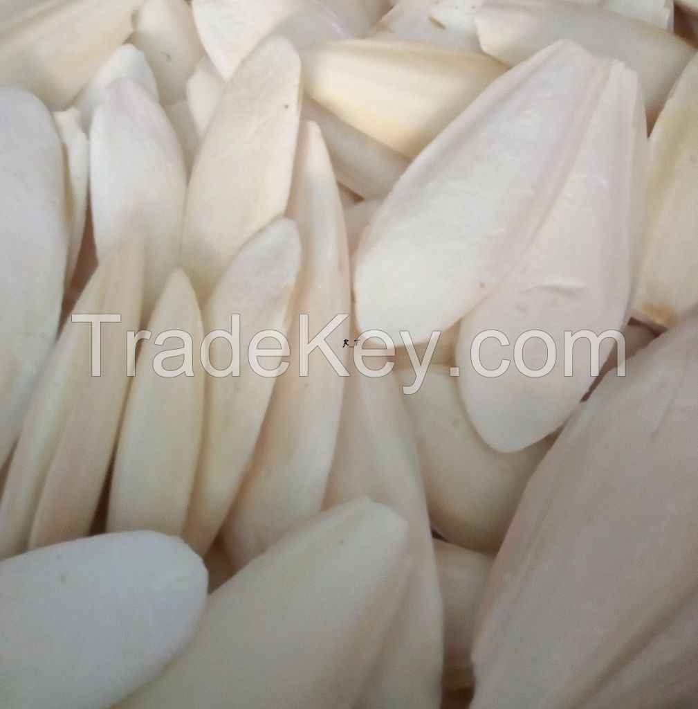 Cuttlefish Bone for Bird Feed with High Quality and Best Price