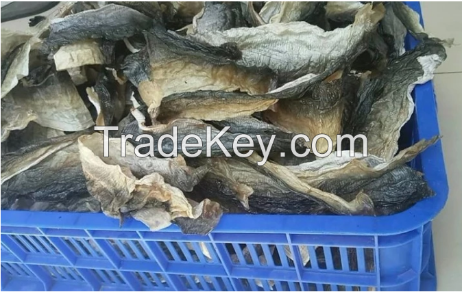 Dried Fish Skin for Collagen Industry with High Quality and Best Price