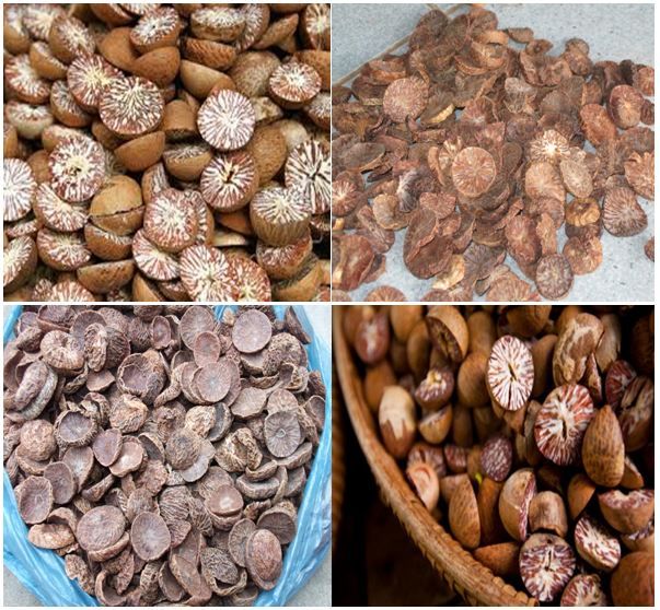 Betel Nuts with High Quality and Best Price