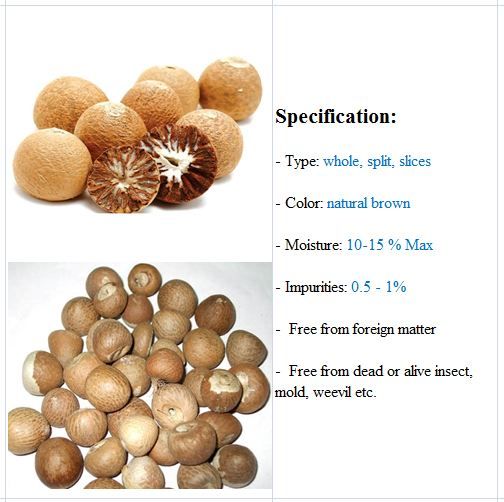 Betel Nuts with High Quality and Best Price