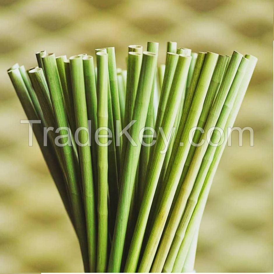 Why don’t you use Eco Friendly Grass Drinking Straws?