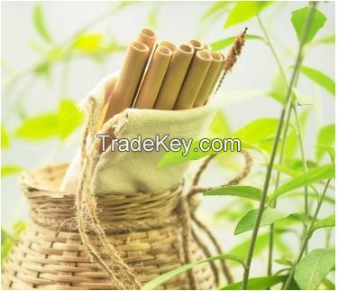 Why dont you use Eco Friendly Bamboo Straws Drinking