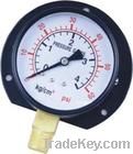 Common Pressure Gauge