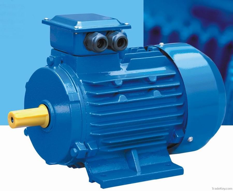 Y2 IRON BODY THREE PHASE ELECTRIC MOTOR