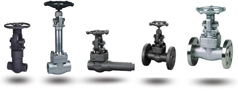 forged gate valve