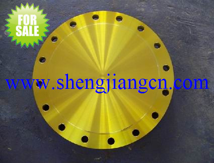 Blind Flange