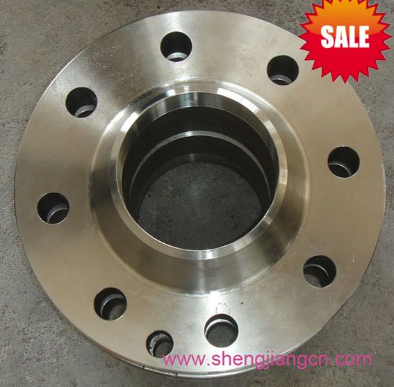 Weld Neck Flange (A105)