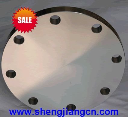 Carbon Steel Blind Flange