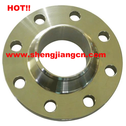 ANSI ASME Stainless steel flange