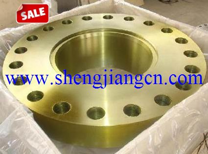 DIN Socket Weld Flange