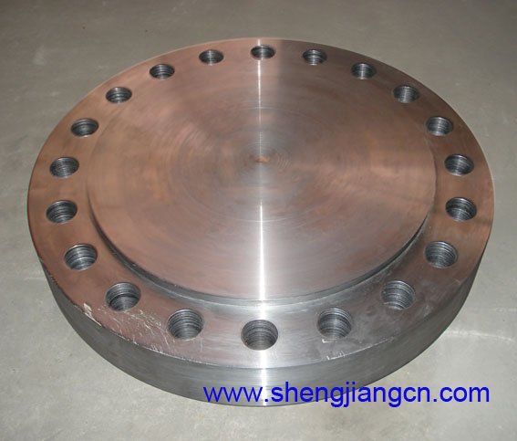 A105 Blind Flange