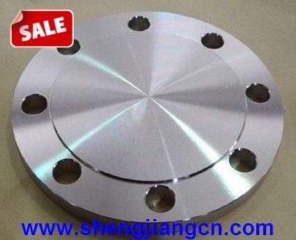 Carbon Steel/A105 Blind Flange