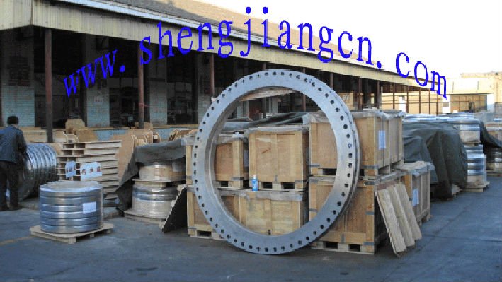 ANSI/ASME Flange