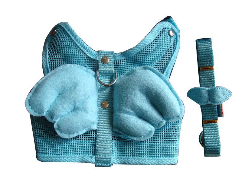 little angel vest&leash