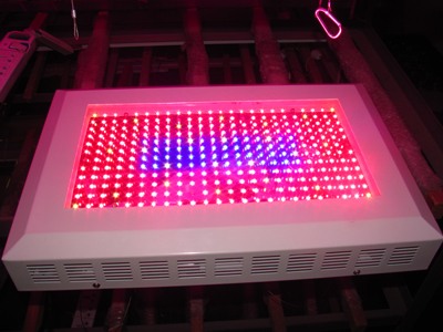 300W LED grow light