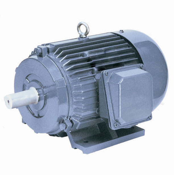 Y series three phase induction motor