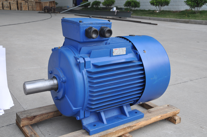 Y2 three phase induction motor