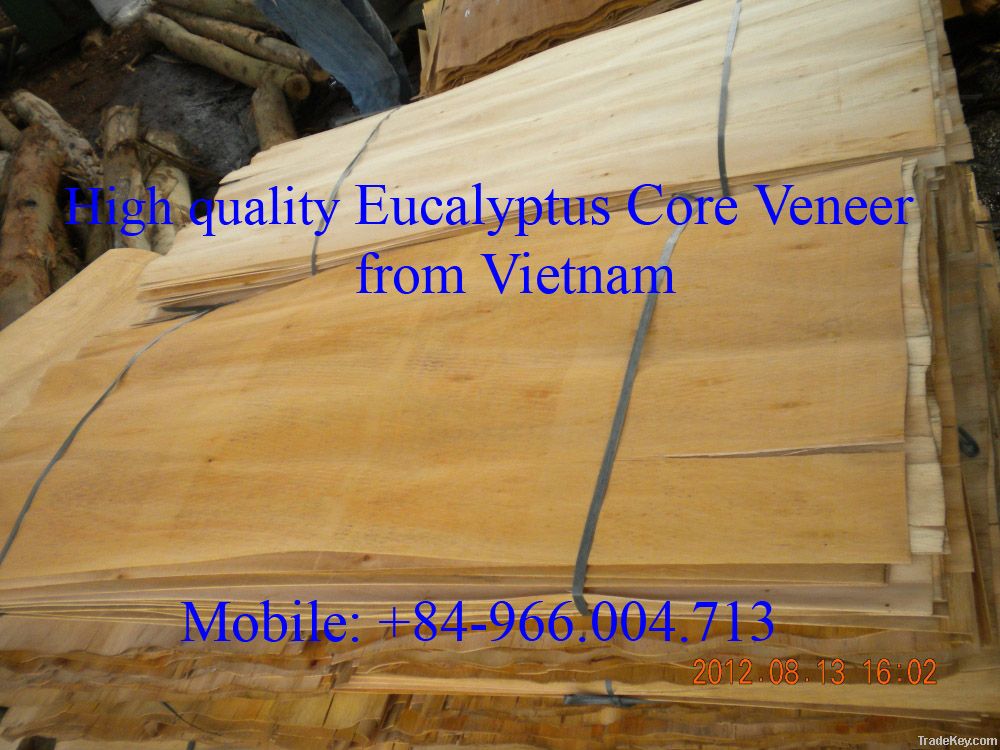 SUPPLY EUCALYTUS CORE VENEER FROM VIETNAM