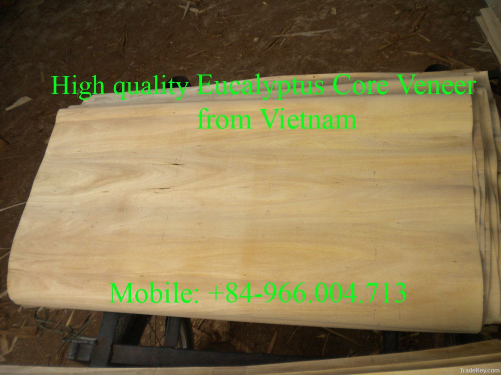 SUPPLY EUCALYTUS CORE VENEER FROM VIETNAM