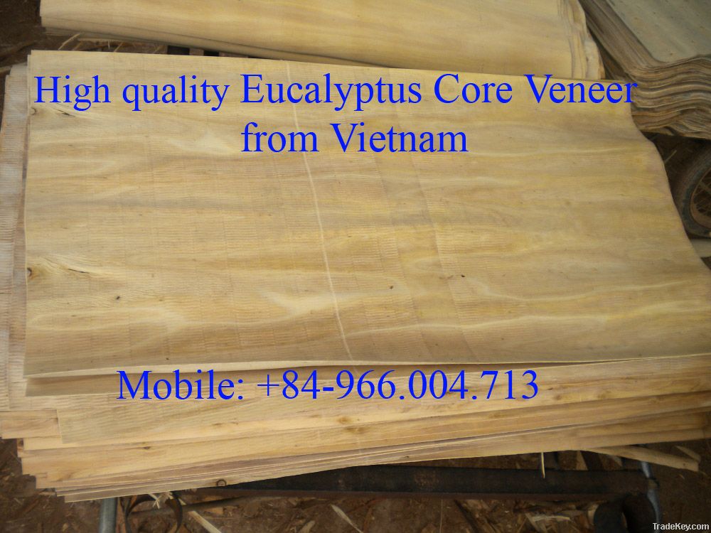 SUPPLY EUCALYTUS CORE VENEER FROM VIETNAM