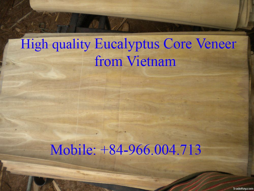 SUPPLY EUCALYTUS CORE VENEER FROM VIETNAM