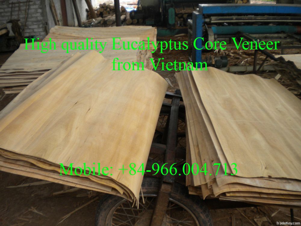 SUPPLY EUCALYTUS CORE VENEER FROM VIETNAM