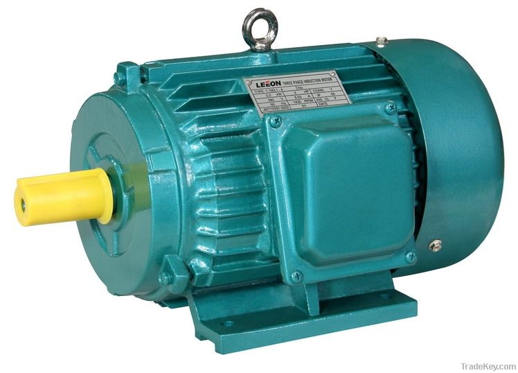 Y Series Motor