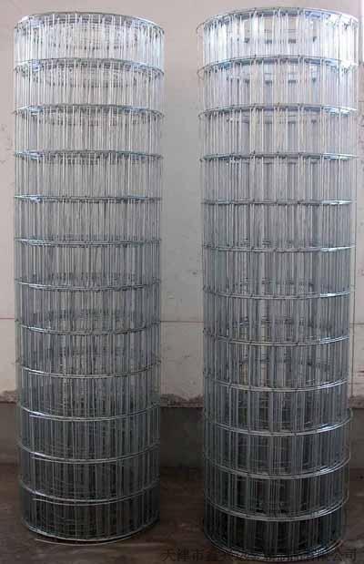 Welded wire mesh