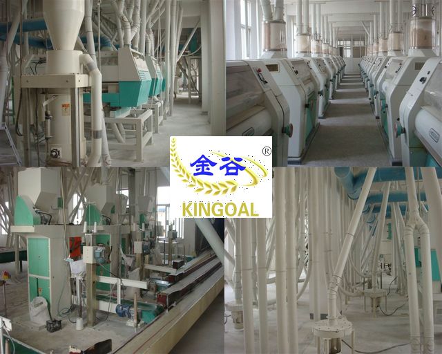 100 T wheat flour mill machine