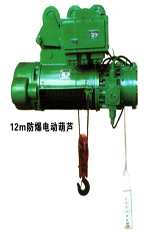 wire rope electric hoist