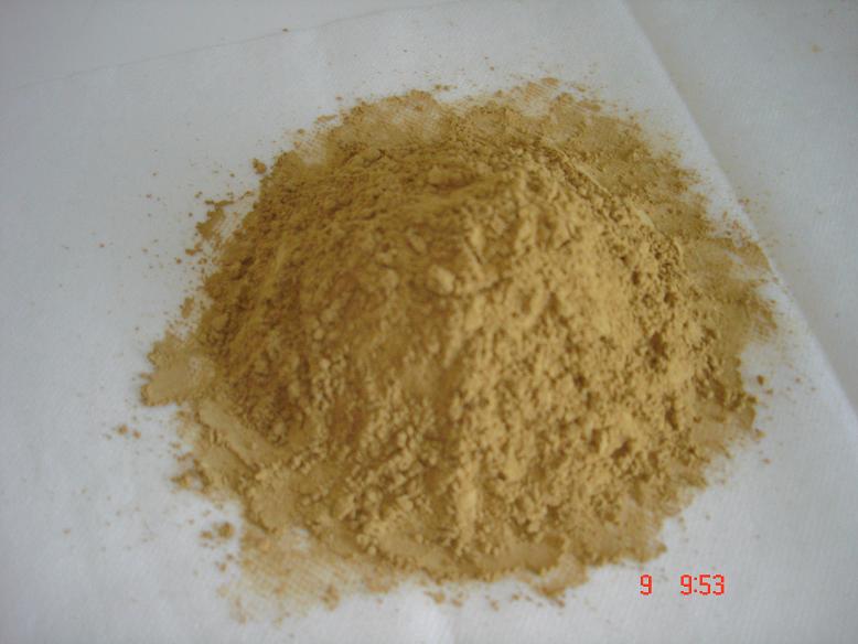 Gingko biloba extract