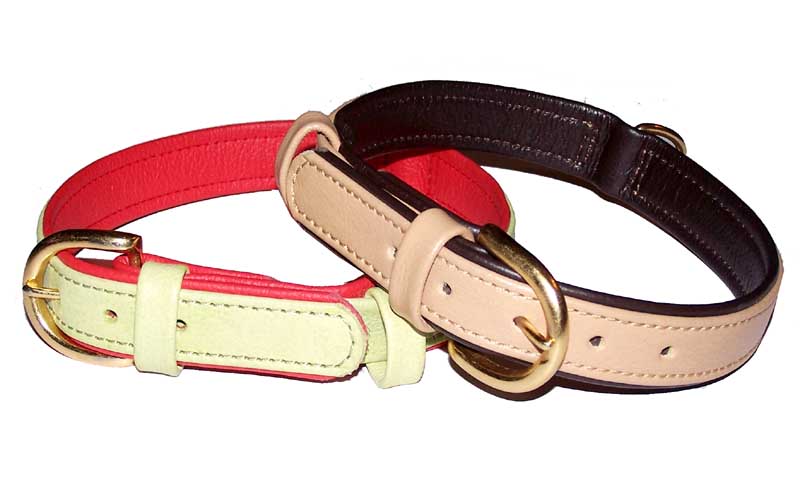 DOG COLLAR