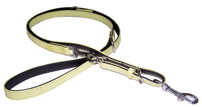 DOG LEADS