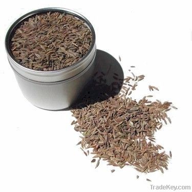 Cumin Seed